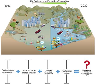 UN Decade on Ecosystem Restoration 2021–2030—What Chance for Success in Restoring Coastal Ecosystems?